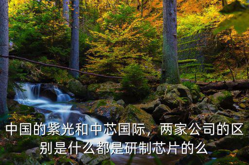 中國(guó)的紫光和中芯國(guó)際，兩家公司的區(qū)別是什么都是研制芯片的么