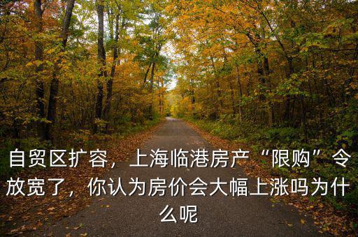 自貿(mào)區(qū)擴容，上海臨港房產(chǎn)“限購”令放寬了，你認為房價會大幅上漲嗎為什么呢