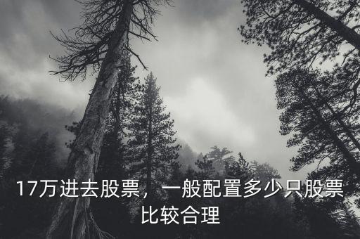 17萬進去股票，一般配置多少只股票比較合理