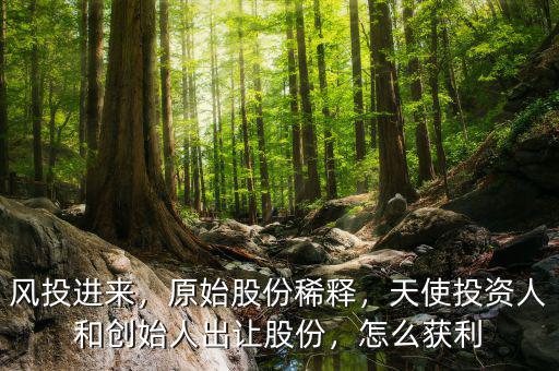 風投進來，原始股份稀釋，天使投資人和創(chuàng)始人出讓股份，怎么獲利