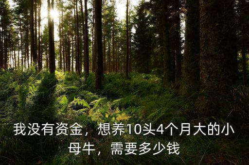 我沒有資金，想養(yǎng)10頭4個月大的小母牛，需要多少錢