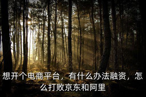想開(kāi)個(gè)電商平臺(tái)，有什么辦法融資，怎么打敗京東和阿里