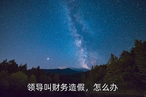 領(lǐng)導(dǎo)叫財務(wù)造假，怎么辦