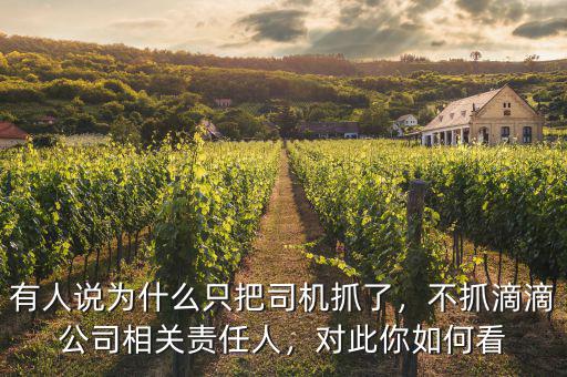 有人說為什么只把司機(jī)抓了，不抓滴滴公司相關(guān)責(zé)任人，對此你如何看