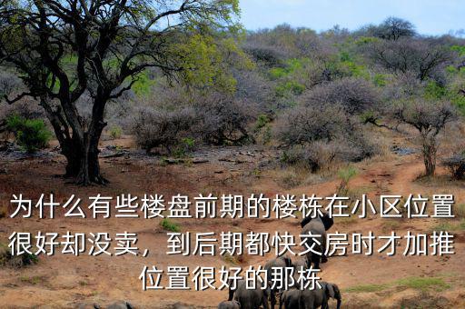 為什么有些樓盤前期的樓棟在小區(qū)位置很好卻沒賣，到后期都快交房時(shí)才加推位置很好的那棟