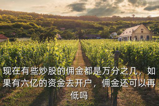 現(xiàn)在有些炒股的傭金都是萬分之幾，如果有六億的資金去開戶，傭金還可以再低嗎
