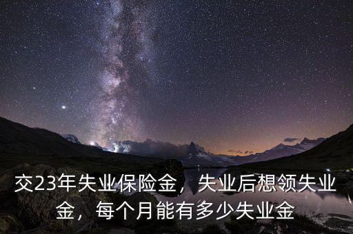 交23年失業(yè)保險(xiǎn)金，失業(yè)后想領(lǐng)失業(yè)金，每個(gè)月能有多少失業(yè)金