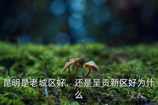 昆明是老城區(qū)好，還是呈貢新區(qū)好為什么