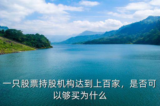 一只股票持股機(jī)構(gòu)達(dá)到上百家，是否可以夠買為什么