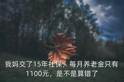 我媽交了15年社保，每月養(yǎng)老金只有1100元，是不是算錯了