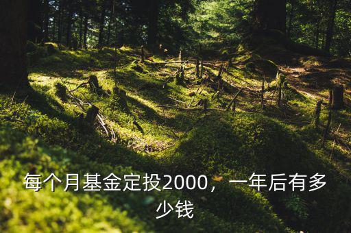 每個(gè)月基金定投2000，一年后有多少錢(qián)