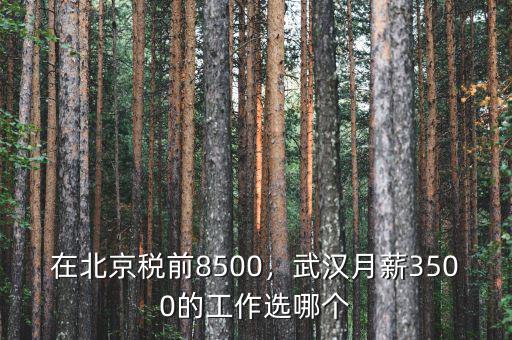 在北京稅前8500，武漢月薪3500的工作選哪個