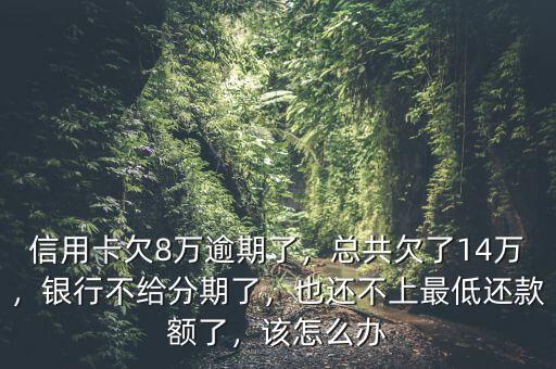 信用卡欠8萬逾期了，總共欠了14萬，銀行不給分期了，也還不上最低還款額了，該怎么辦