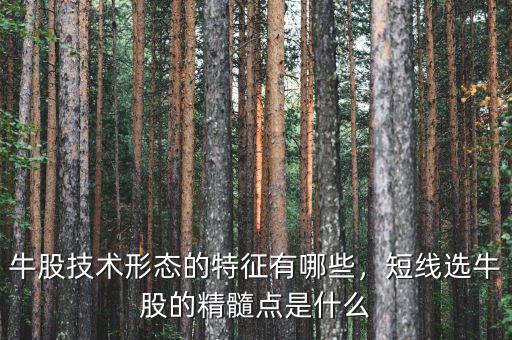 牛股技術(shù)形態(tài)的特征有哪些，短線選牛股的精髓點(diǎn)是什么