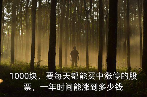 1000塊，要每天都能買中漲停的股票，一年時(shí)間能漲到多少錢