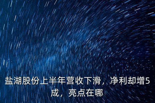 鹽湖股份上半年?duì)I收下滑，凈利卻增5成，亮點(diǎn)在哪