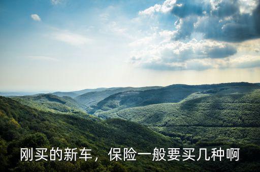 新車主要買(mǎi)什么保險(xiǎn),保險(xiǎn)一般要買(mǎi)幾種啊