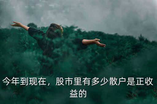 今年到現(xiàn)在，股市里有多少散戶是正收益的