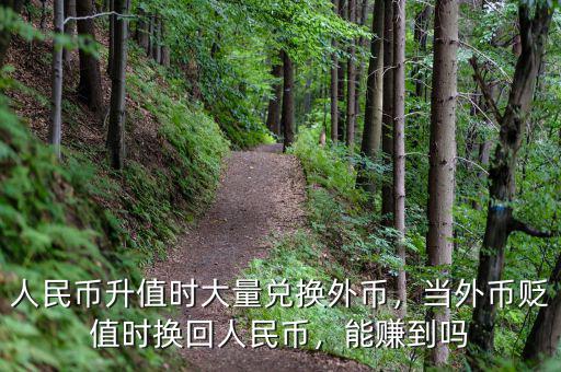 人民幣升值時(shí)大量兌換外幣，當(dāng)外幣貶值時(shí)換回人民幣，能賺到嗎