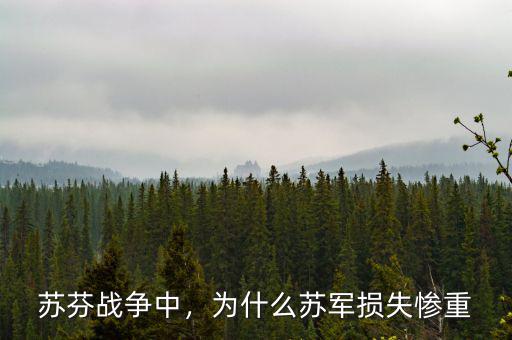 蘇芬戰(zhàn)爭(zhēng)中，為什么蘇軍損失慘重