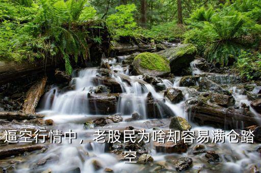逼空行情中，老股民為啥卻容易滿倉踏空