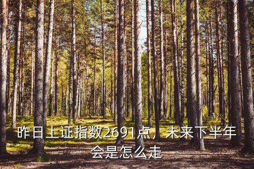 昨日上證指數(shù)2691點，未來下半年會是怎么走