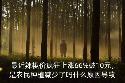 最近辣椒價瘋狂上漲66%破10元，是農(nóng)民種植減少了嗎什么原因?qū)е? class=