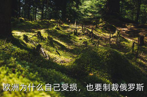 歐洲為什么自己受損，也要制裁俄羅斯