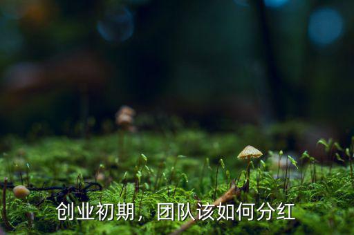 創(chuàng)業(yè)初期，團隊該如何分紅