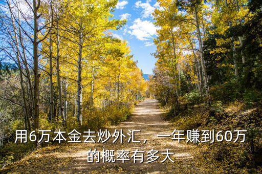 用6萬本金去炒外匯，一年賺到60萬的概率有多大