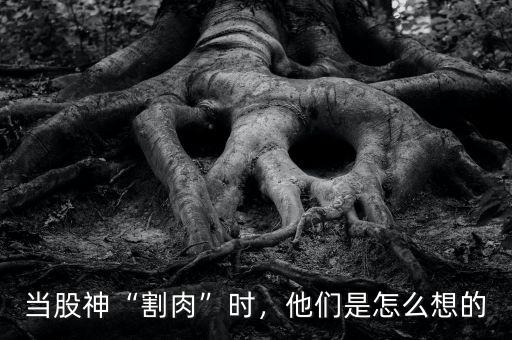 當(dāng)股神“割肉”時(shí)，他們是怎么想的