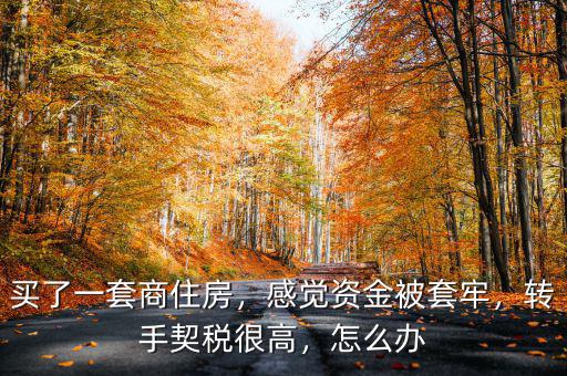 買了一套商住房，感覺(jué)資金被套牢，轉(zhuǎn)手契稅很高，怎么辦