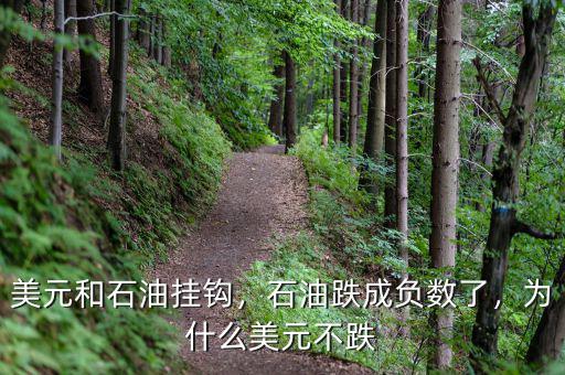 美元和石油掛鉤，石油跌成負(fù)數(shù)了，為什么美元不跌