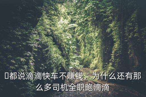 ?都說(shuō)滴滴快車(chē)不賺錢(qián)，為什么還有那么多司機(jī)全職跑滴滴