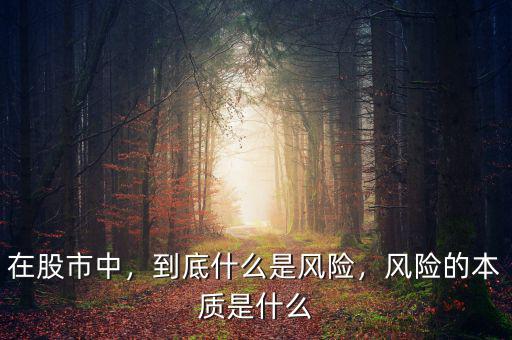 在股市中，到底什么是風(fēng)險(xiǎn)，風(fēng)險(xiǎn)的本質(zhì)是什么