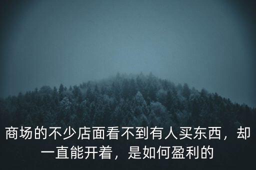 商場(chǎng)的不少店面看不到有人買東西，卻一直能開著，是如何盈利的