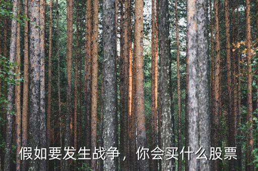 假如要發(fā)生戰(zhàn)爭，你會(huì)買什么股票