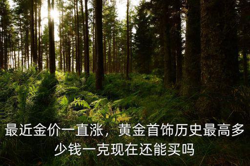 最近金價一直漲，黃金首飾歷史最高多少錢一克現(xiàn)在還能買嗎