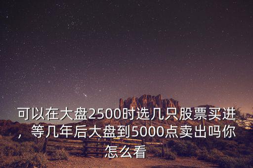 可以在大盤(pán)2500時(shí)選幾只股票買(mǎi)進(jìn)，等幾年后大盤(pán)到5000點(diǎn)賣(mài)出嗎你怎么看