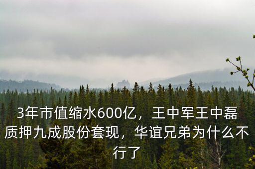 3年市值縮水600億，王中軍王中磊質(zhì)押九成股份套現(xiàn)，華誼兄弟為什么不行了
