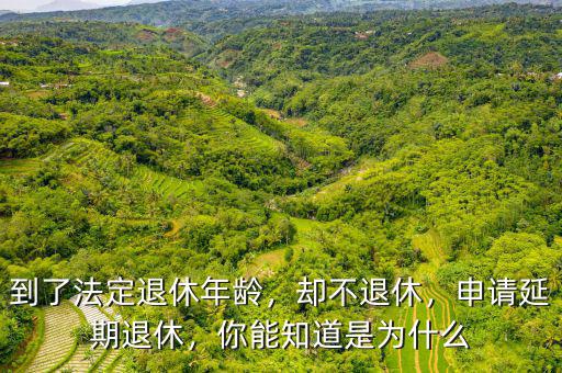 到了法定退休年齡，卻不退休，申請延期退休，你能知道是為什么