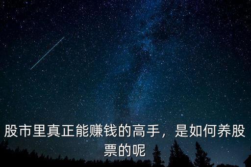 股市里真正能賺錢的高手，是如何養(yǎng)股票的呢