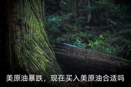 美原油暴跌，現(xiàn)在買入美原油合適嗎