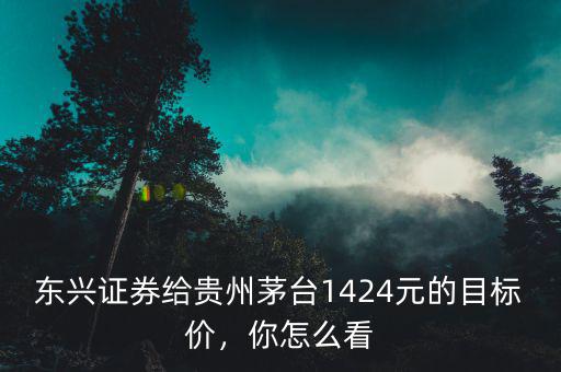 東興證券給貴州茅臺(tái)1424元的目標(biāo)價(jià)，你怎么看