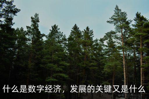 什么是數(shù)字經(jīng)濟，發(fā)展的關鍵又是什么