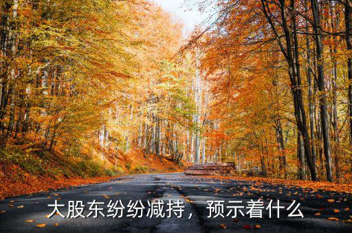 大股東紛紛減持，預(yù)示著什么