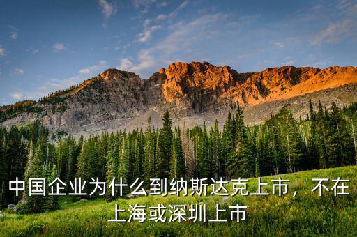 中國(guó)企業(yè)為什么到納斯達(dá)克上市，不在上?；蛏钲谏鲜? class=