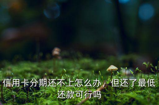 信用卡分期還不上怎么辦，但還了最低還款可行嗎
