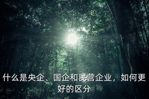 什么是央企、國(guó)企和民營(yíng)企業(yè)，如何更好的區(qū)分