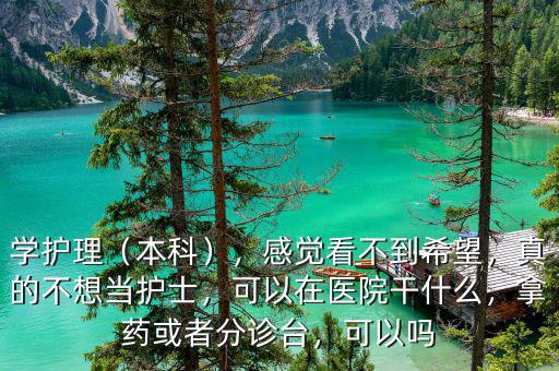 學(xué)護(hù)理（本科），感覺看不到希望，真的不想當(dāng)護(hù)士，可以在醫(yī)院干什么，拿藥或者分診臺，可以嗎